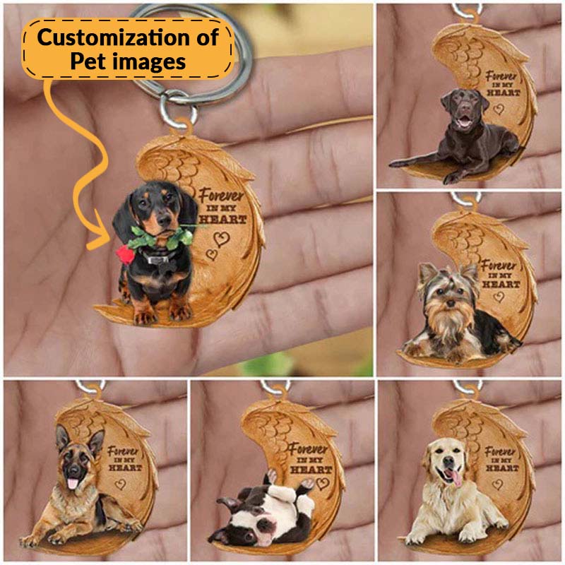 Customize Your Unique Pet Decorations or Accessories