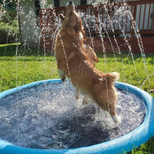 Dog Splash Sprinkler Pad✨