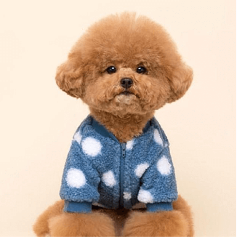 Winter Sales-Warm Fleece Polka Dog Sweater