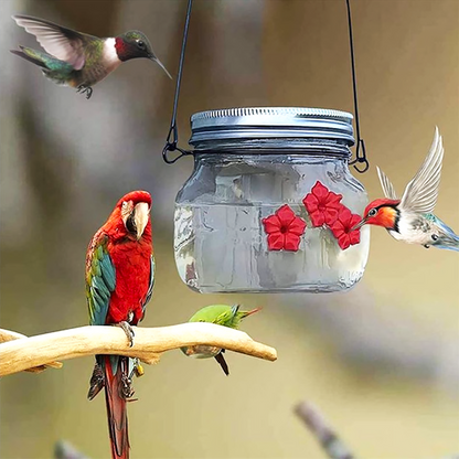 Beautiful Mason Jar Hummingbird Feeder with Three Ports