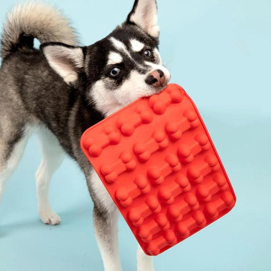 Homemade Dog Treats Kit