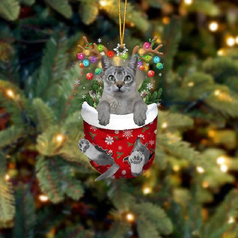 Singapura Cat In Snow Pocket Christmas Ornament SP201