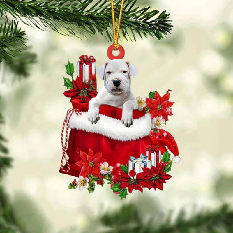 Dogo Argentino In Gift Bag Christmas Ornament GB026