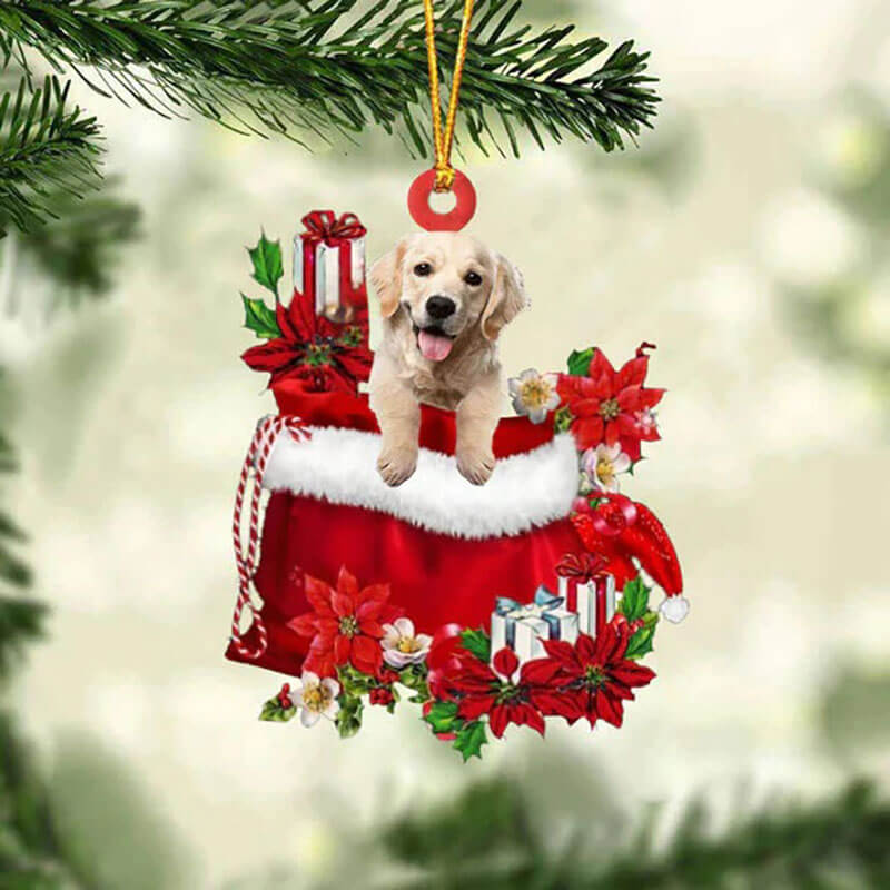 Golden Retriever In Gift Bag Christmas Ornament GB072