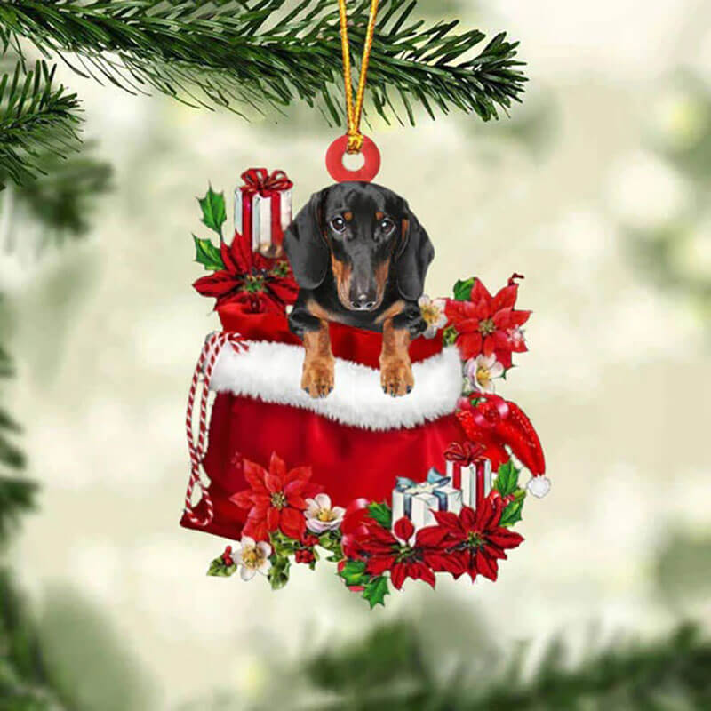 Dachshund In Gift Bag Christmas Ornament GB080