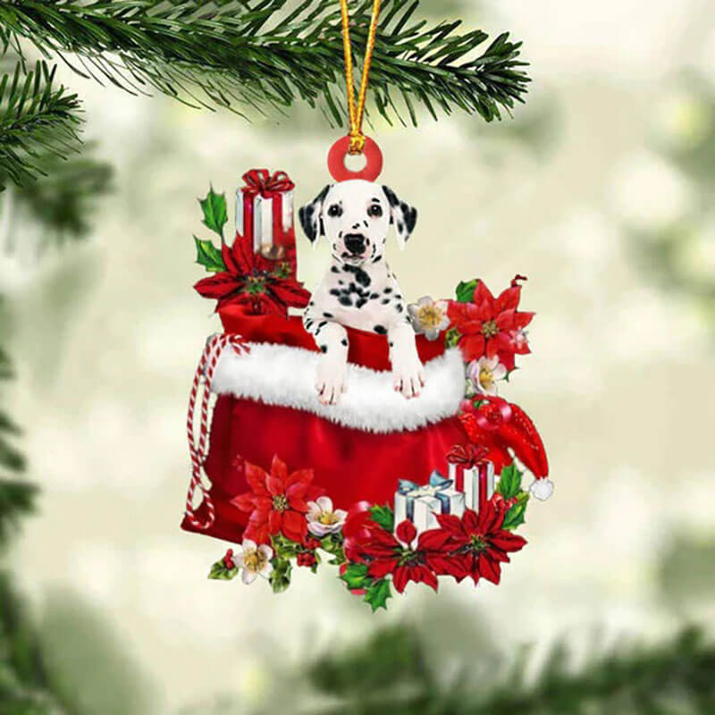 Dalmatian In Gift Bag Christmas Ornament GB094