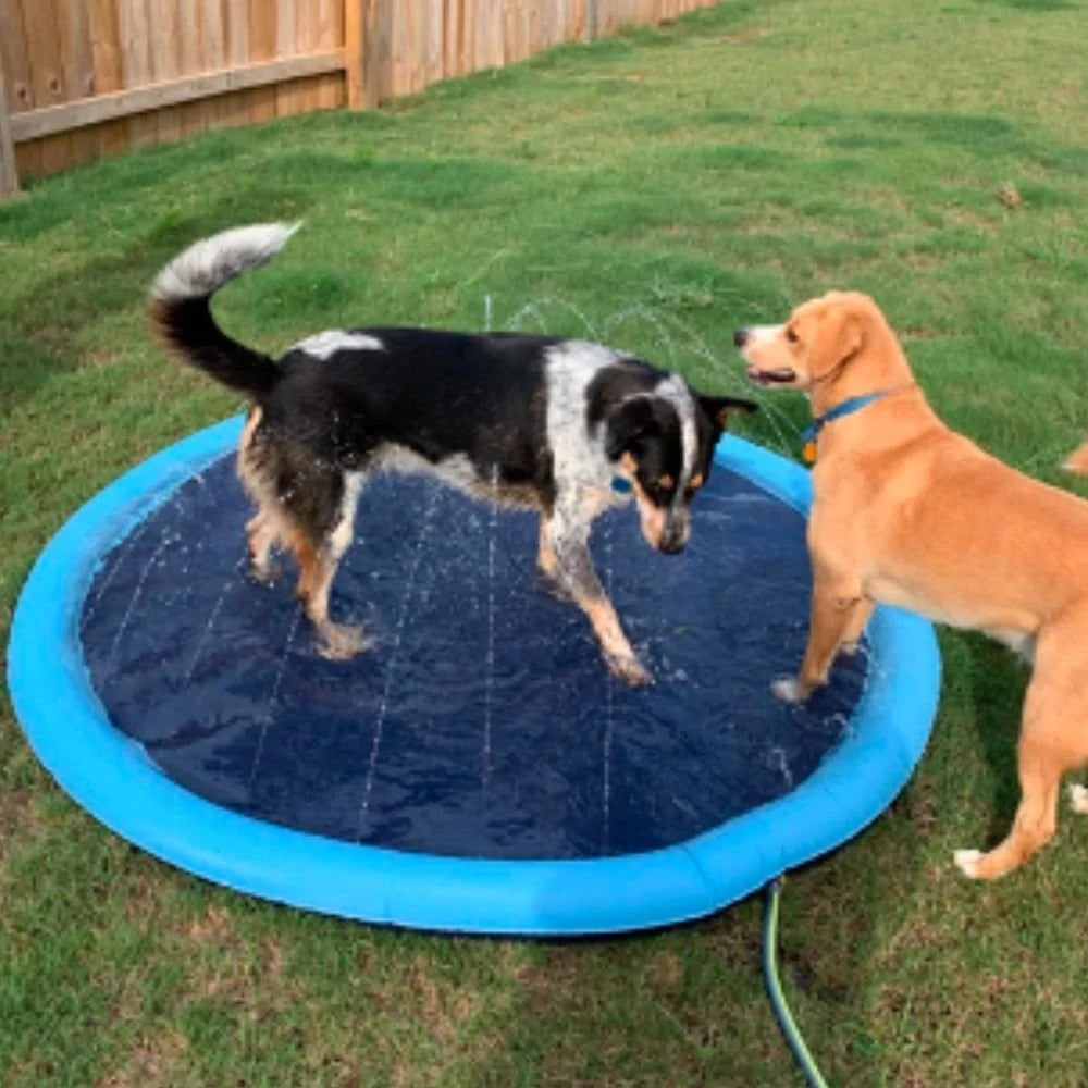 Dog Splash Sprinkler Pad✨